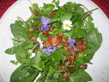 Unkrautsalat.jpg