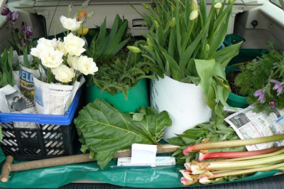 27.04.2009.70.JPG