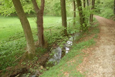 Bach_0010__44250.jpg