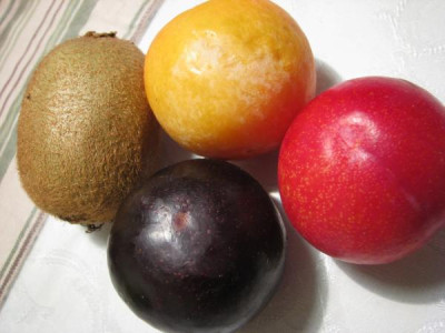 pflaumen_tricolor.jpg