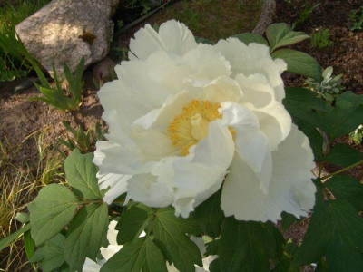 April_2008_071.jpg