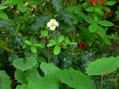 K640_P1070390.JPG