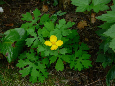 K800_P1070361.JPG