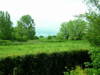 Teich8.JPG