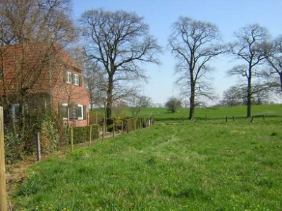 wiese_8.JPG