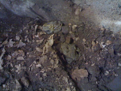 K640_03052009552.JPG