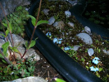 PICT00831.JPG
