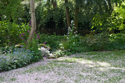 L-a-A-Apr2709.jpg