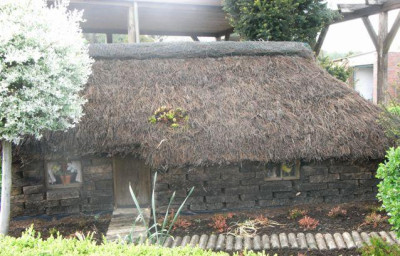 schattenmohn_und_moorhutte_029.jpg