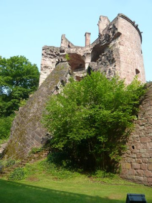 Heidelberg_17_fars_2009.jpg