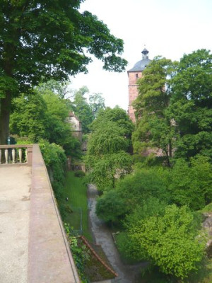 Heidelberg_19_fars_2009.jpg