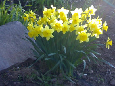 K640_05052009593.JPG