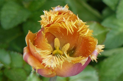 06.05.2009.70.JPG