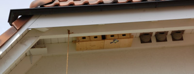 Abflug_0010__4990.jpg