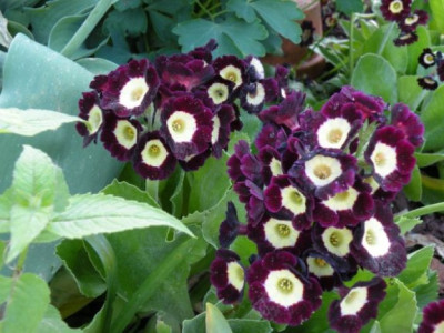 DSCN0785.JPG