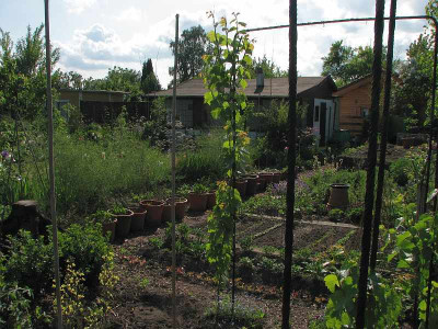 gemuesegarten2009.jpg