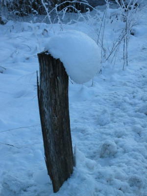 mutze1.JPG
