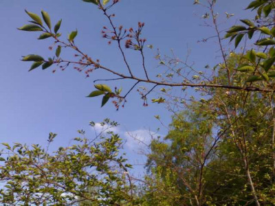 K640_09052009615.JPG