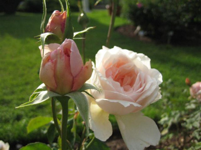 IMG_3670_Small.JPG
