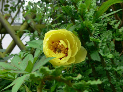 K800_P1070471.JPG