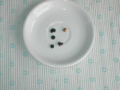 e2.jpg
