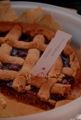 santolin_torte_freising.jpg
