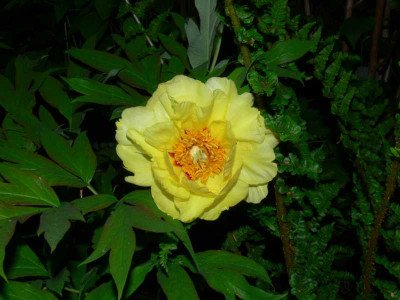 K800_P1070529.JPG