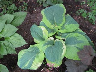 k-IMG_0291.jpg