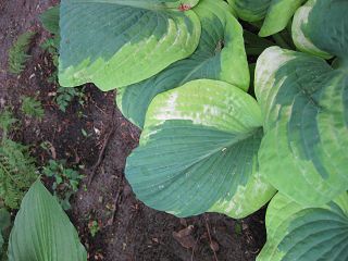 k-IMG_0292.jpg