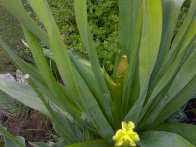 K640_11052009639.JPG