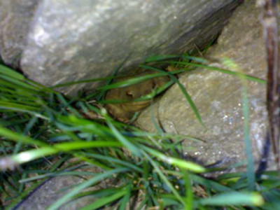 K640_11052009644.JPG