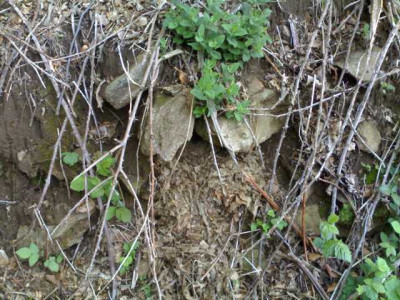 K640_11052009629.JPG