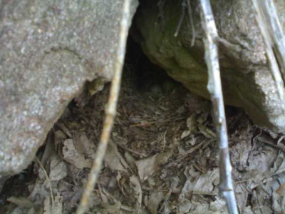 K640_11052009627.JPG