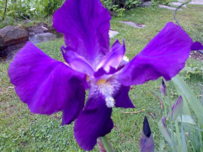 K640_11052009622.JPG