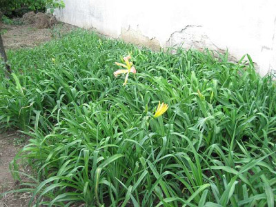 11.05.09.jpg