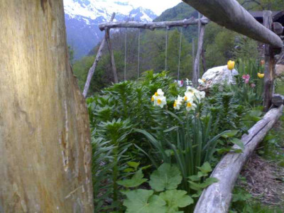 K640_11052009633.JPG