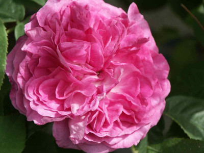 PICT0761.jpg