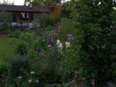 irisbeet_mai2009_aussen.jpg