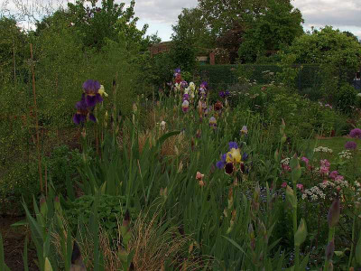 irisbeet_mai2009_innen.jpg