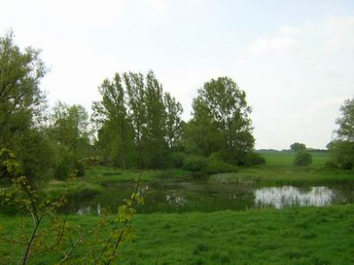 Teich7a.JPG