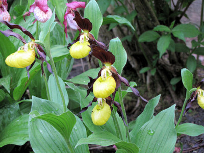 IMG_0697_uu1.jpg