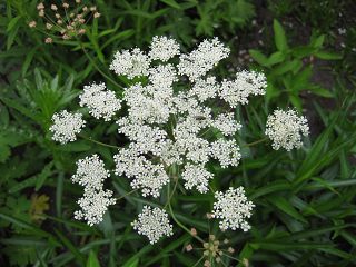 k-IMG_0318.jpg