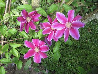 k-IMG_0315.jpg