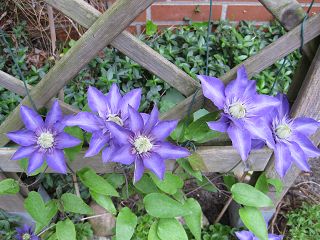 k-IMG_0280.jpg