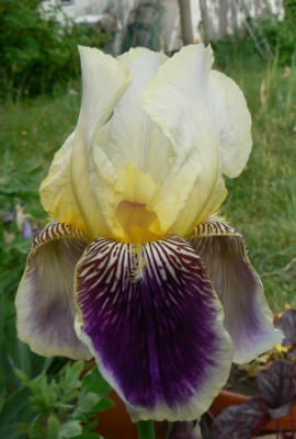 Vingolf_090515_a.jpg