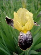CIMG80401.jpg