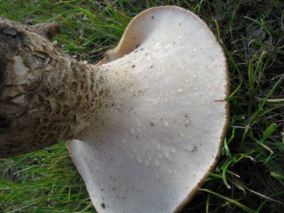 K640_IMG_0564.JPG