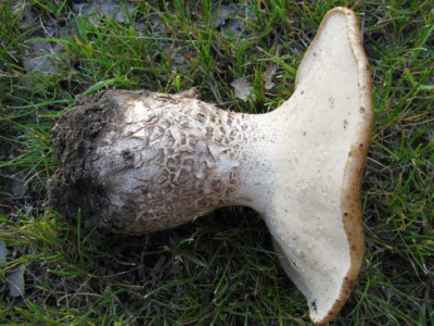 K640_IMG_0565.JPG
