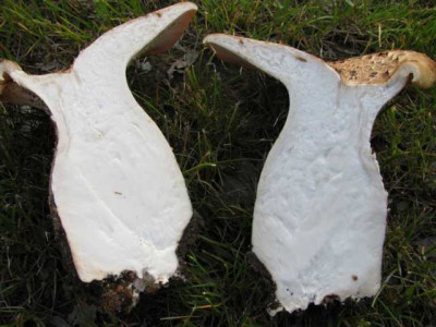 K640_IMG_0566.JPG