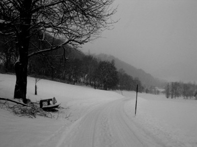 der_schneestuepfue_stoert.jpg